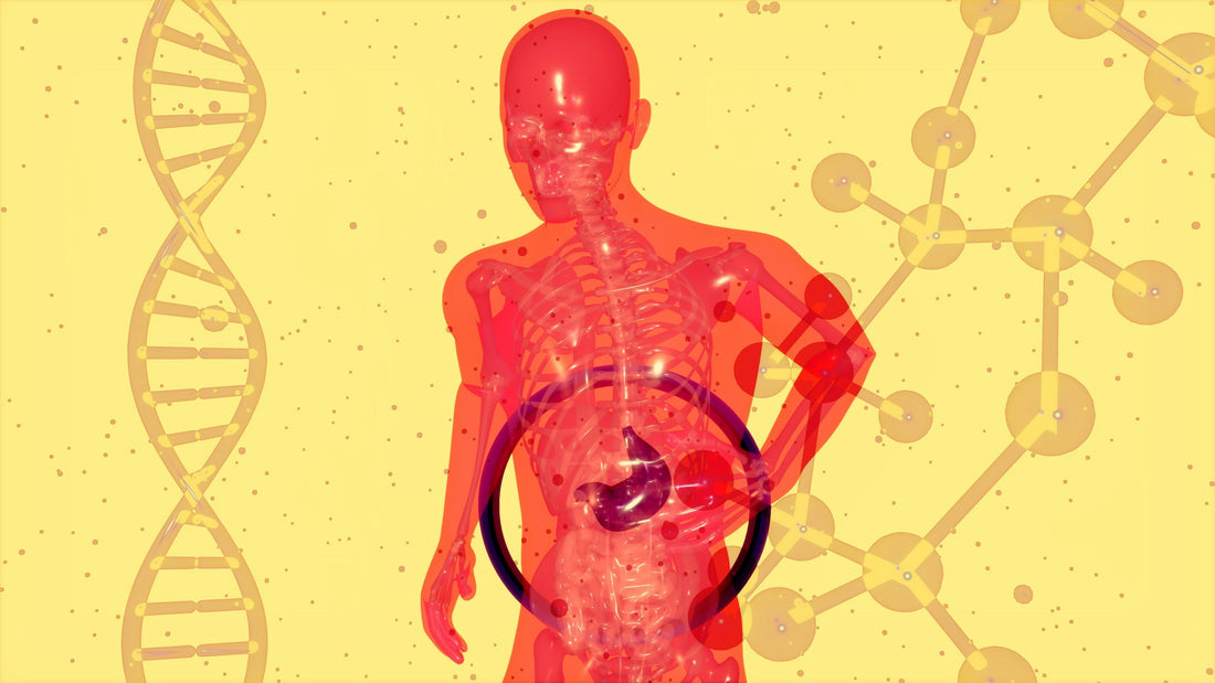 10 Signs of an Unhealthy Gut and How to Fix It Naturally?