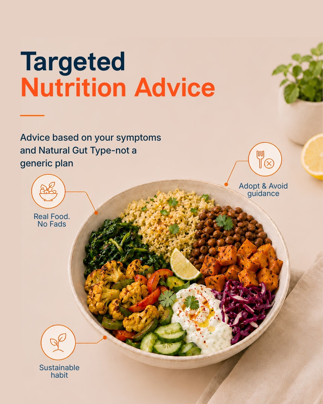 Targeted nutrition advice bowl — personalised gut-friendly diet based on gut type