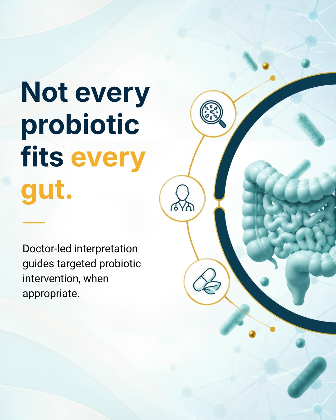 Doctor-led probiotic guidance based on gut microbiome analysis